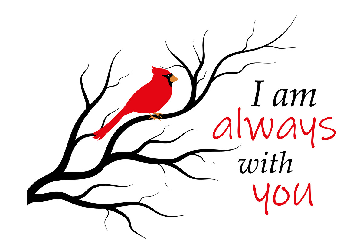 Red cardinal bird on a tree branch., an Illustration by Tanysl (Photo 3 of 4)