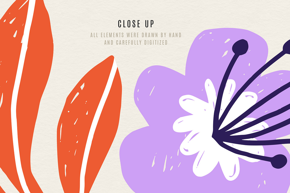 Bold Florals | svg, png, ai, eps, a Decorative Illustration by Olia (Photo 10 of 13)