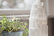 Holistic Lifestyle Bundle (Green), a Health & Medical Photo by Wellness Stock Market (Thumbnail 14 of 37)