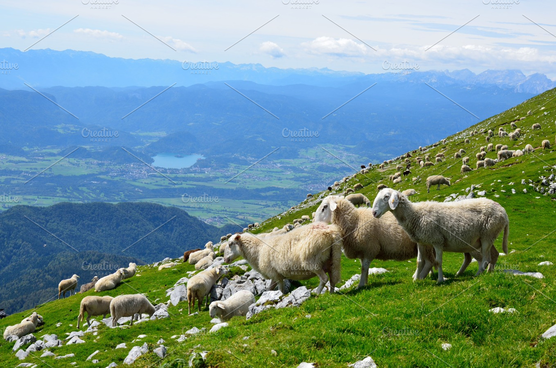 Sheeps on the meadow in the hills containing green, grass, and mountain