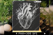 Anatomical Human Heart Flames Smoke, a Background Graphic by LaseredNinja (Thumbnail 2 of 7)