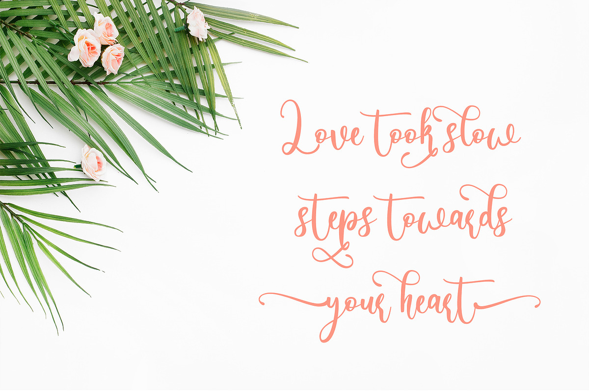 Carelina - Modern Calligraphy, a Script Font by erlosDESIGN (Photo 4 of 12)