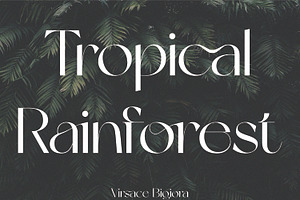 Virsace Bigiora Modern Sans Serif