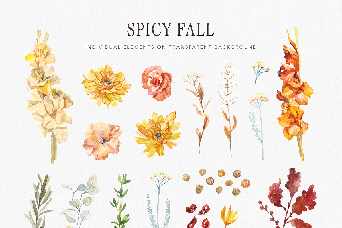 Spicy Fall herbs & berries, a Decorative Illustration by Volha Studio (Photo 6 of 9)