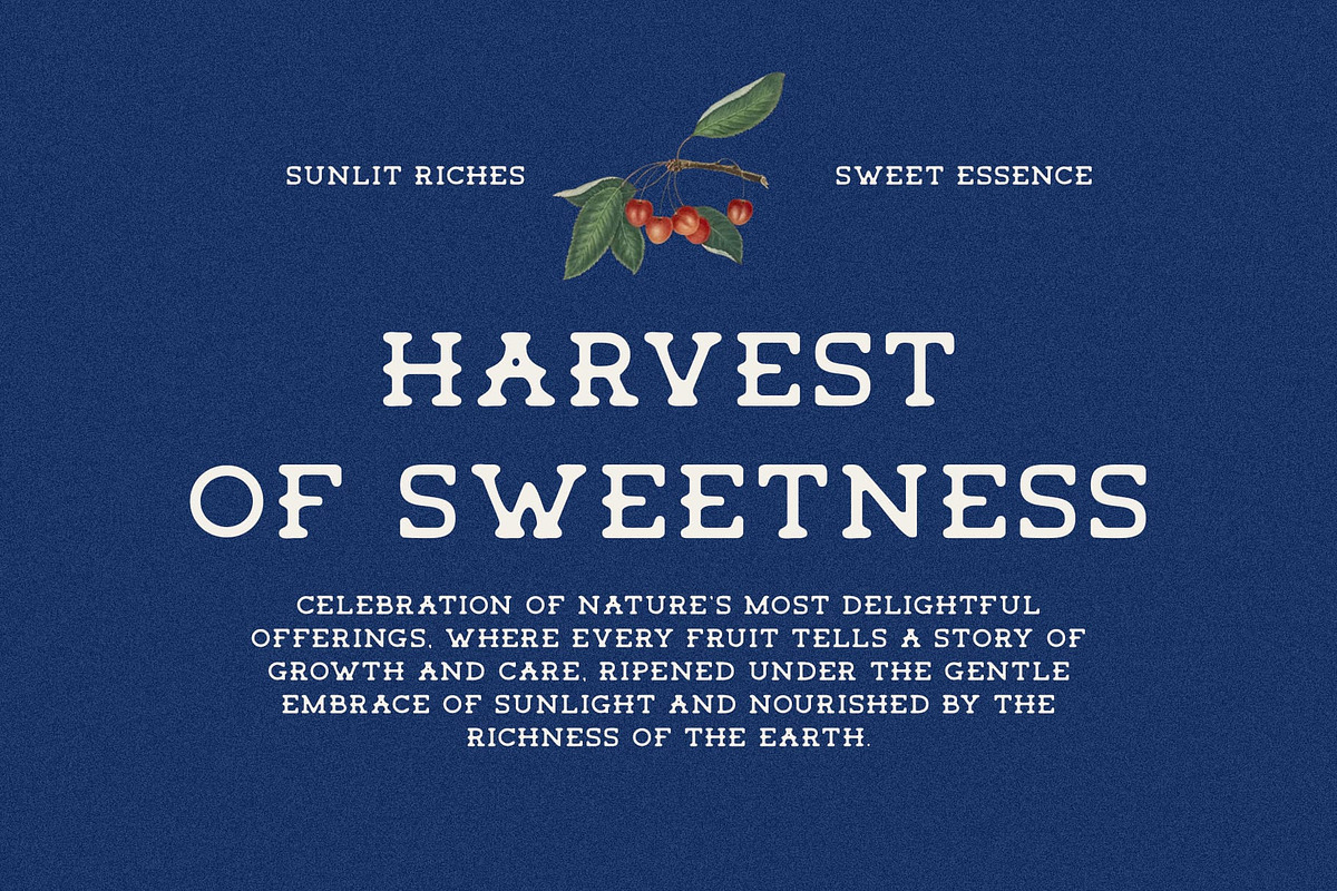 Tigreal Blur, a Serif Font by Craft Supply Co. (Photo 2 of 8)