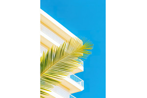 Palm frond contrasts with a modern, an Architecture Photo by Lermont51