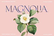 Tokyo Dreams Display Ligature Serif, a Serif Font by Mila Garret (Thumbnail 6 of 28)