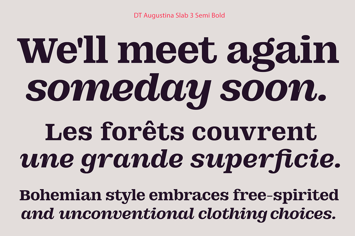 DT Augustina Slab 3 Subfamily, a Slab Serif Font by Deveze Type Foundry (Photo 11 of 31)