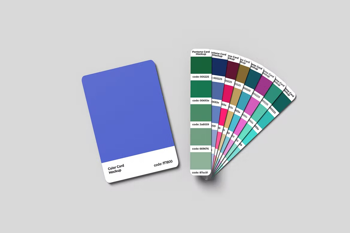 Variant Color Card Mockup, a Product Mockup by FDR Studio (Photo 2 of 5)