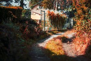 Autumn path to cozy house, an Architecture Photo by SkyNext
