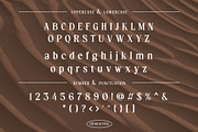 Featherly – Modern & Stylish Serif, a Serif Font by Almeera Std (Thumbnail 6 of 10)
