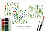 WILDFLOWERS Watercolor Set, a Pattern Graphic by Katerina Osa (Thumbnail 12 of 12)