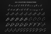 Anthoni Signature, a Script Font by Kotak Kuning Studio (Thumbnail 9 of 13)