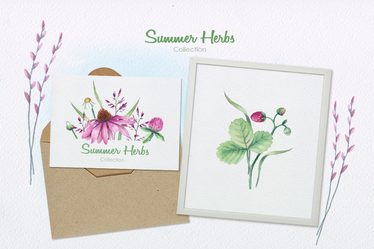 Summer Herbs, an Illustration by oKOLOstyle (Photo 5 of 5)