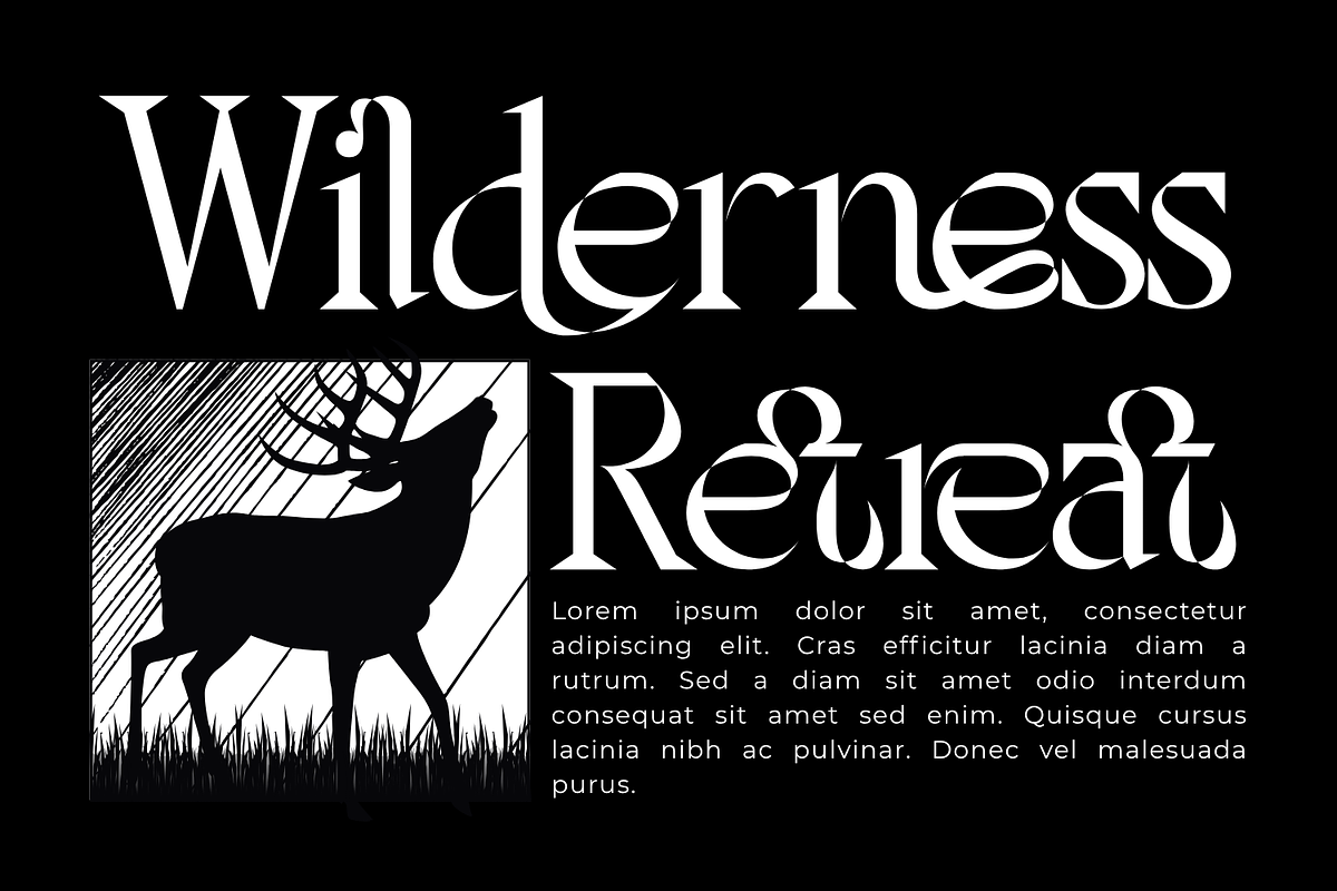 Theatrical Blending - Elegant Font, a Serif Font by 177Studio (Photo 3 of 8)