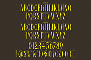 VOLTUNE Elegant Condensed Serif, a Serif Font by Alfinart (Thumbnail 8 of 10)