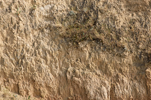 A section of a clay or loess cliff showing its textured, loose c, a Nature Photo by ndanko