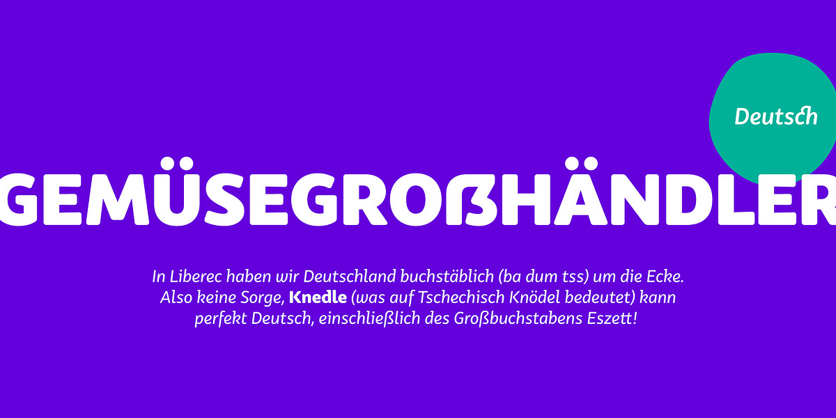 Knedle, a Sans Serif Font by Sudetype (Photo 7 of 10)