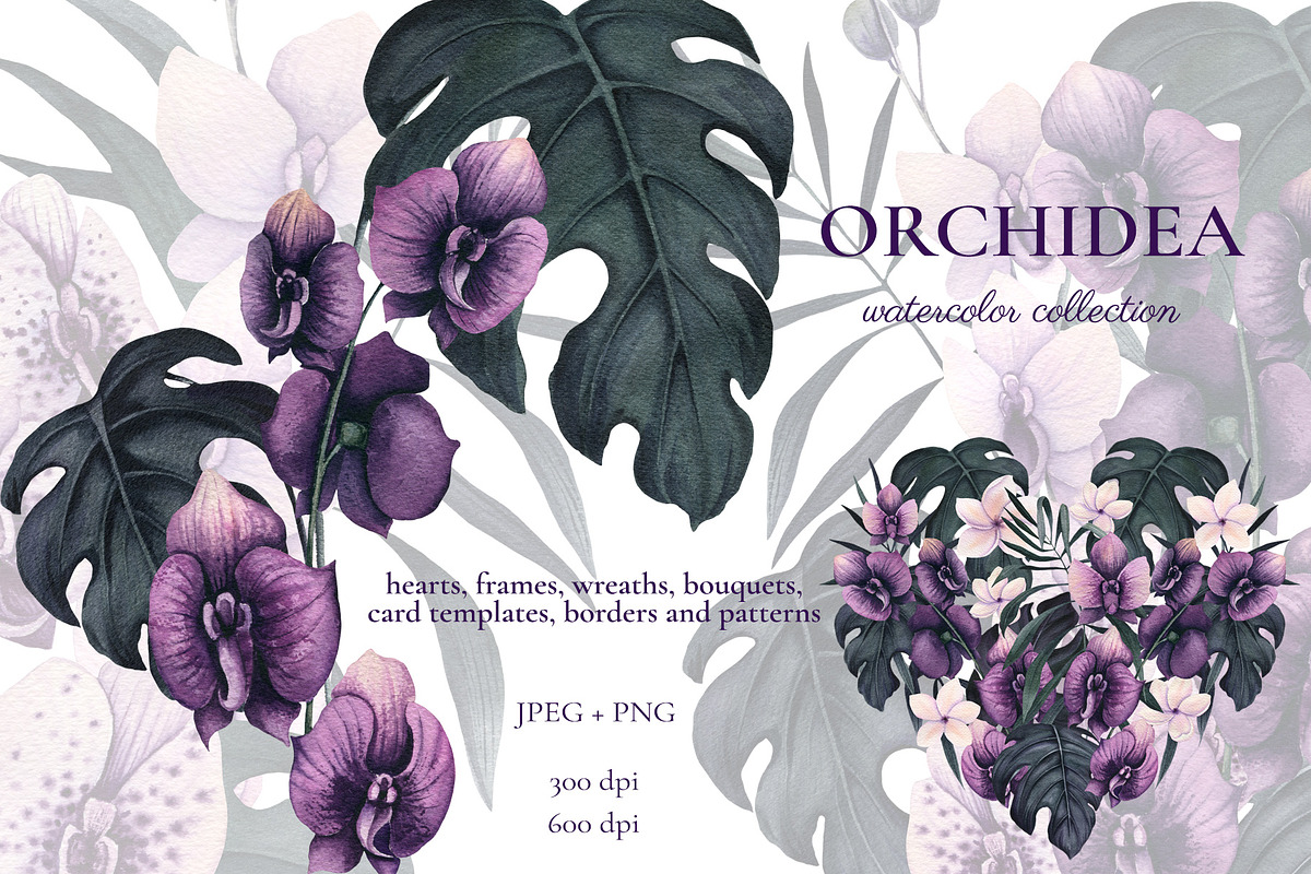Orchidea, an Illustration by Salted Galaxy (Photo 1 of 11)