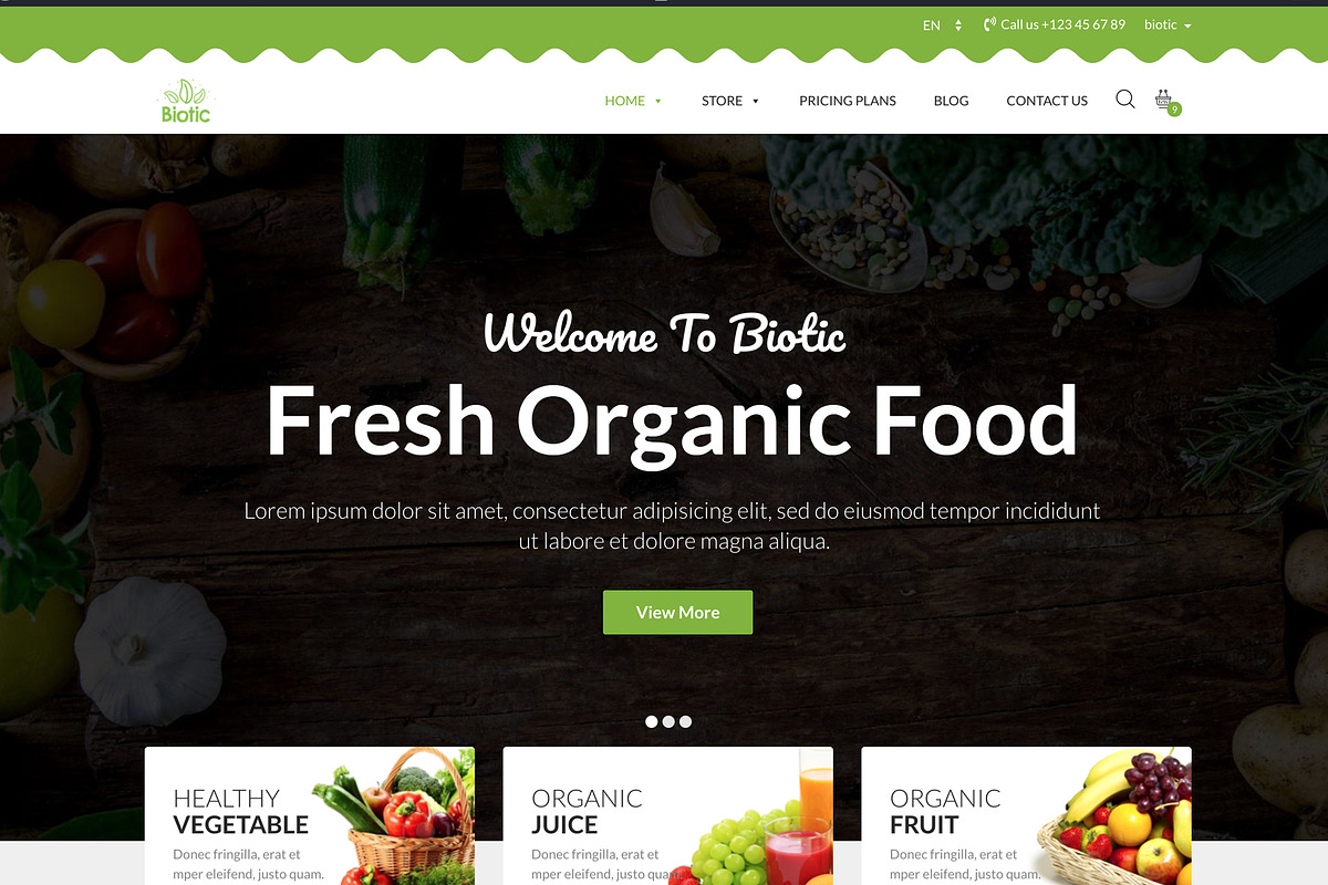 Biotic -Organic Food WordPress Theme, a WordPress Template by ThemeRegion (Photo 1 of 3)