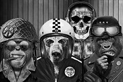 Photoprint Tee Shirt Graphics, an Illustration by Skyhawk (Thumbnail 2 of 2)
