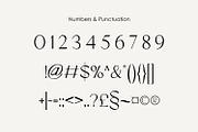 ERIAL | Simple Luxury Serif Font, a Sans Serif Font by WhymoreArt (Thumbnail 10 of 11)