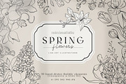 Minimalistic Spring Flowers Line Art, a Decorative Illustration by La Petite Line Art (Thumbnail 1 of 12)