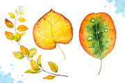 Autumn leaves. Watercolor set., a Decorative Illustration by AlexGreenArt (Thumbnail 6 of 11)