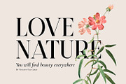 Burnt Anchor - Romantic Serif Font, a Serif Font by Imoodev (Thumbnail 2 of 5)