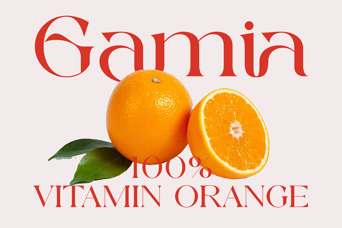 Rakena - Beauty Serif Typeface, a Serif Font by Muflieart (Photo 3 of 10)
