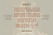 Enrage Gothic Font Bundle, a Blackletter Font by FontDuo (Thumbnail 6 of 6)