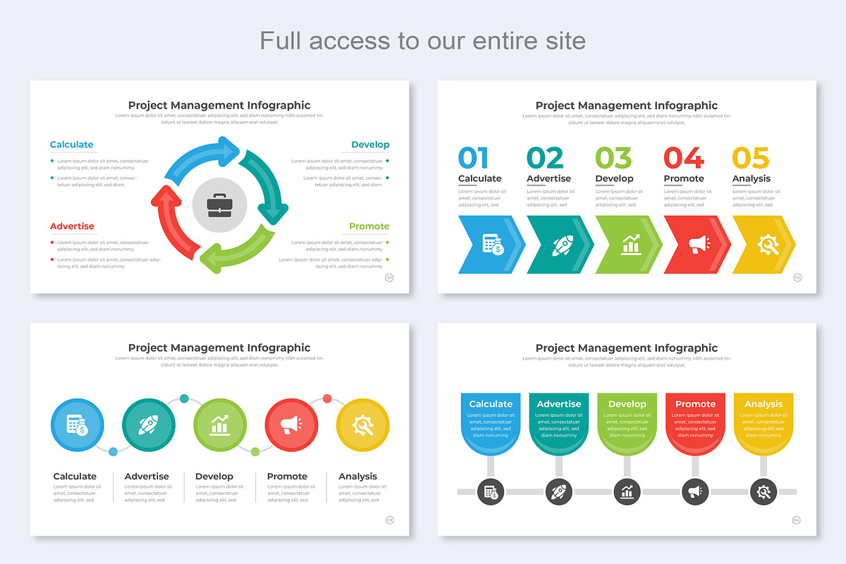 Project Management Infographic