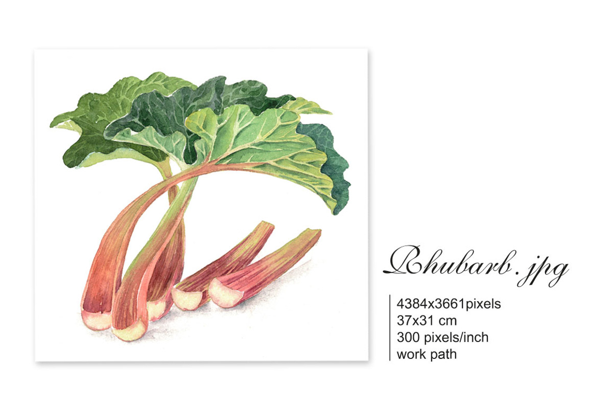 Set of 4 watercolor Fruits, an Illustration by Marina.Markizova (Photo 4 of 6)