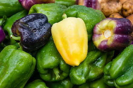 Poblano Peppers On Display preview 6