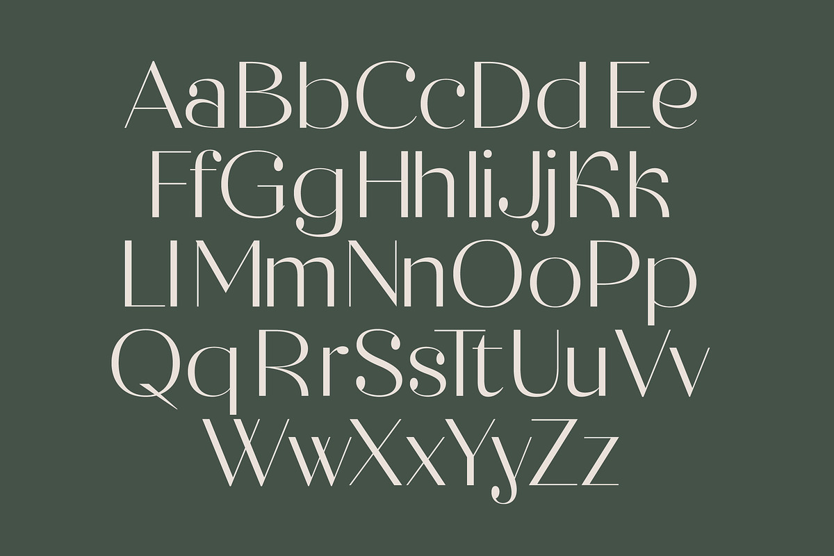 Raslera Modern Serif Display, a Sans Serif Font by timelesstype.co (Photo 13 of 20)