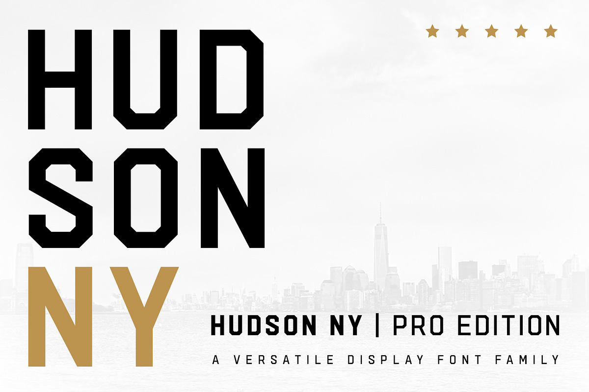 Hudson NY - Pro Edition preview 2