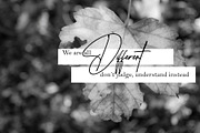 Griffin and ebeth, a Script Font by Teweka (Thumbnail 9 of 10)