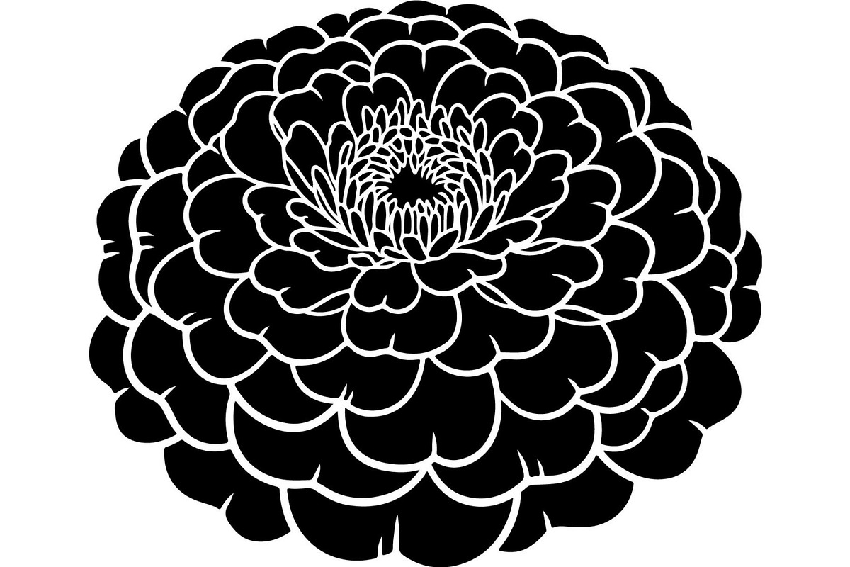 Decorative Floral Mandala Rose Butte, an Object Illustration by Designer_Momina (Photo 16 of 21)