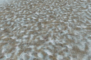 AUTUMN AND WINTER TEXTURE PACK, a Textures & Material 3D Model by Beatheart Creative Studio (Thumbnail 46 of 58)