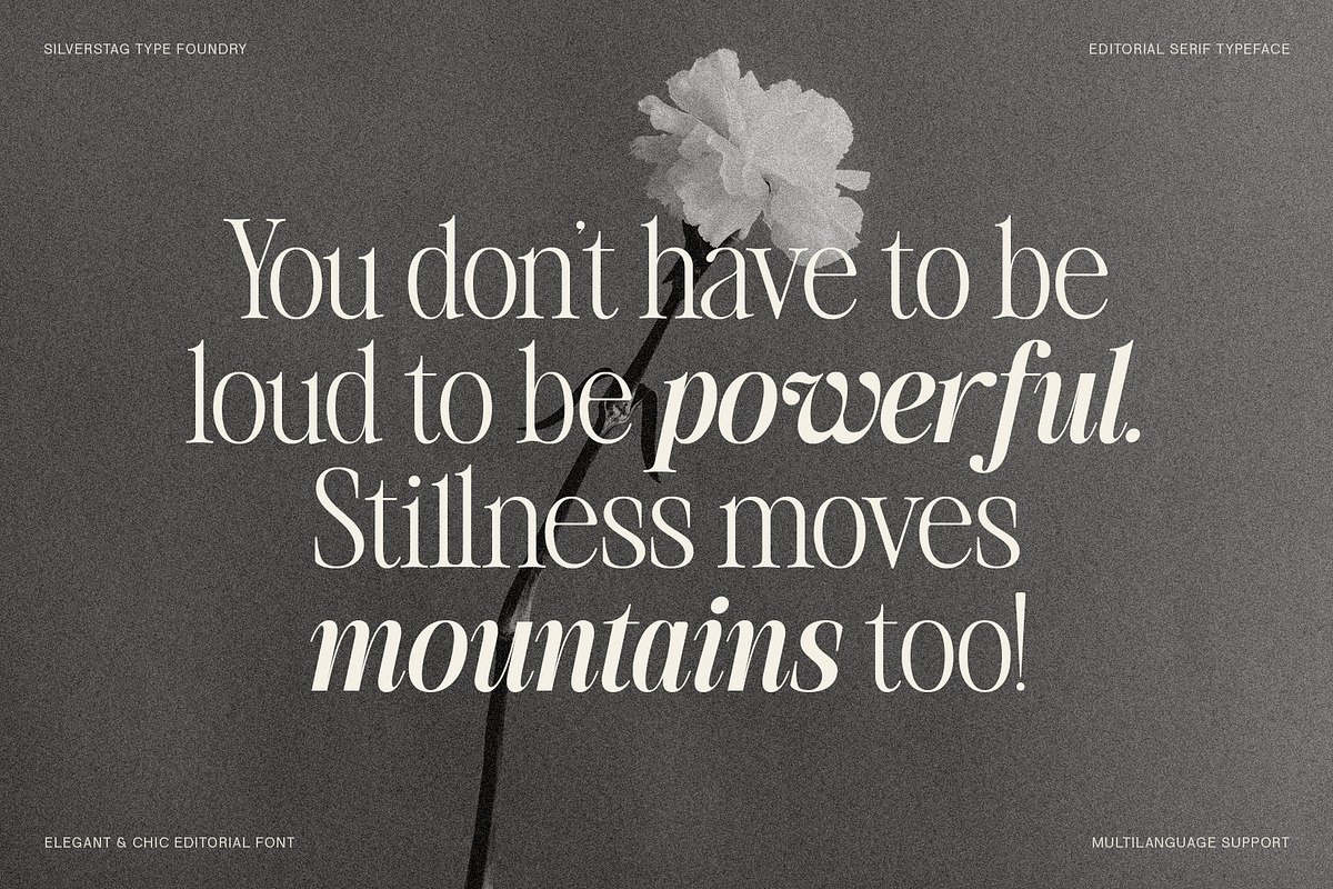 The Silver Editorial - 18 Fonts Pack, a Serif Font by SilverStag Type Foundry (Photo 20 of 30)