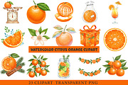 Watercolor Citrus Orange Clipart, an Illustration by cherrydesign (Thumbnail 1 of 3)