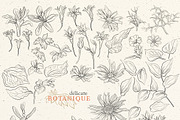 Pencil flowers | delicate drawings, an Illustration by GrafikBoutique (Thumbnail 5 of 9)