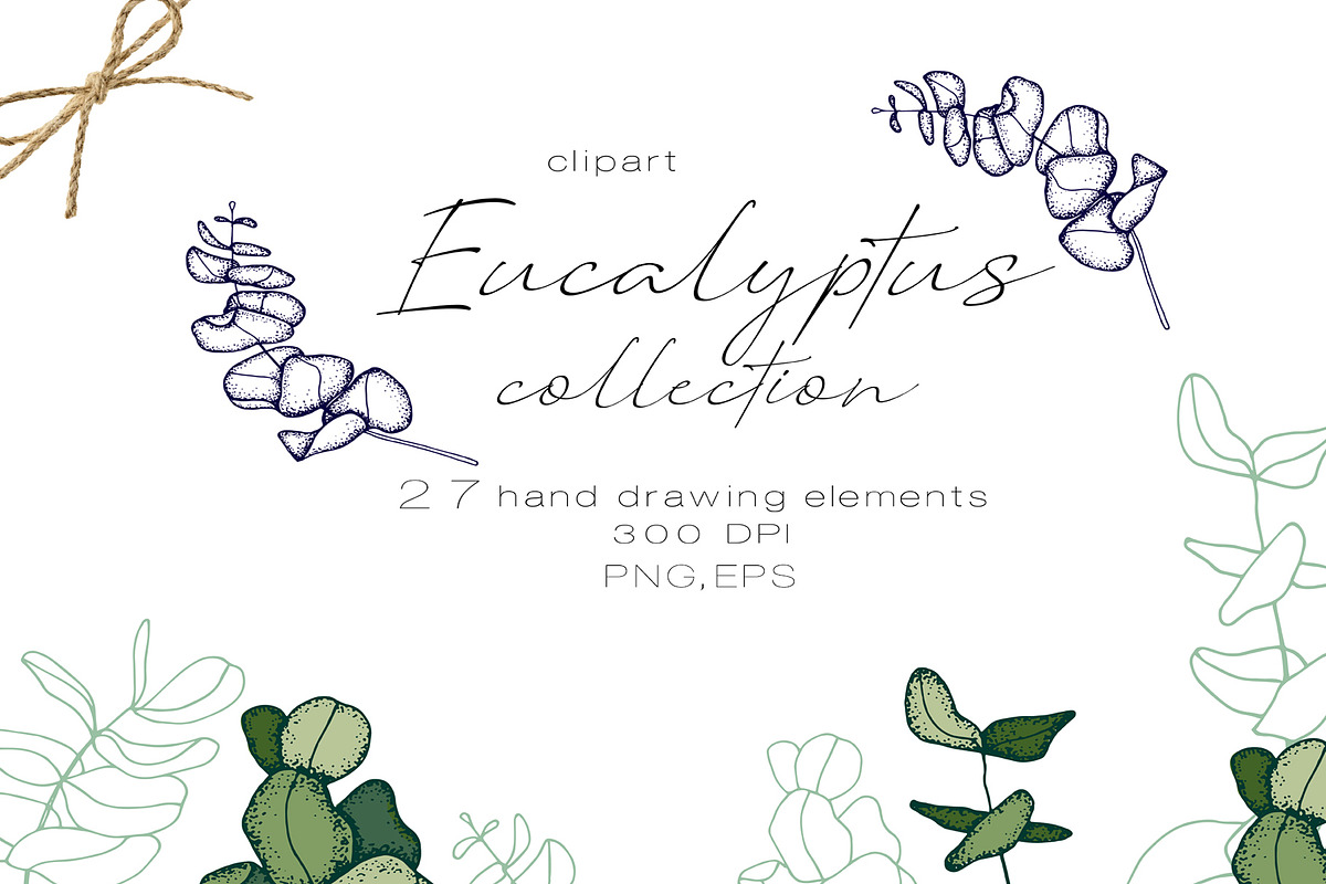 Eucalyptus, a Person Illustration by Hand drawn Boutique (Photo 1 of 8)