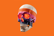 3 Vibrant Striped Skull Art, an Object Illustration by StockVerse Creative (Thumbnail 3 of 4)