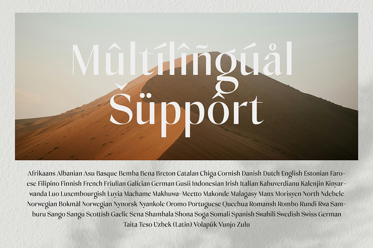 Cellina Wildrone Display, a Sans Serif Font by Eltypesstudio (Photo 6 of 13)