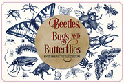 Vintage insects and butterflies, an Animal Illustration by Mr Vintage (Thumbnail 1 of 5)