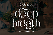 Relentless Changing - Luxury Font, a Serif Font by 177Studio (Thumbnail 4 of 8)