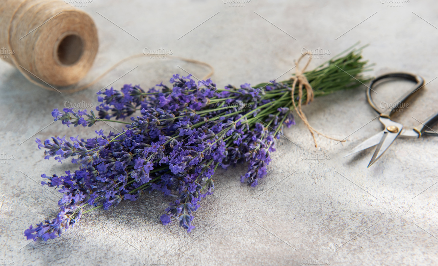 Fresh lavender bunch with scissors and twine preparing, a Health & Medical Photo by Olena Rudo