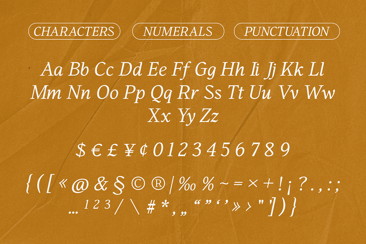 Birchie - Nostalgic Modern Serif, a Serif Font by Surplus Type Co (Photo 7 of 8)