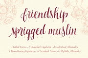 Miss Elizabeth Script, a Script Font by Ornaments of Grace (Thumbnail 4 of 12)